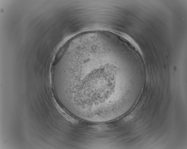 X0000068851388200605261654