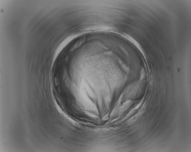 X0000068851389200605261654