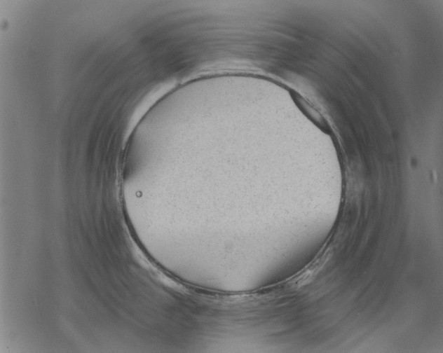 X0000068851390200605261654