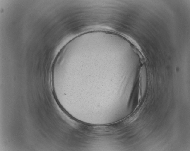 X0000068851391200605261654