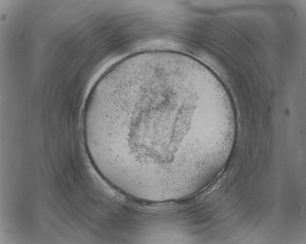 X0000068851392200605261654