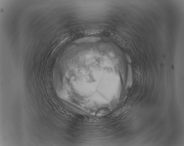 X0000068851393200605261654