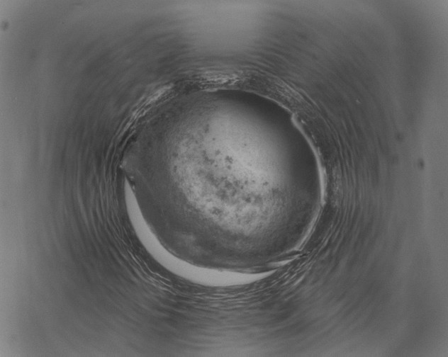 X0000068851394200605261654