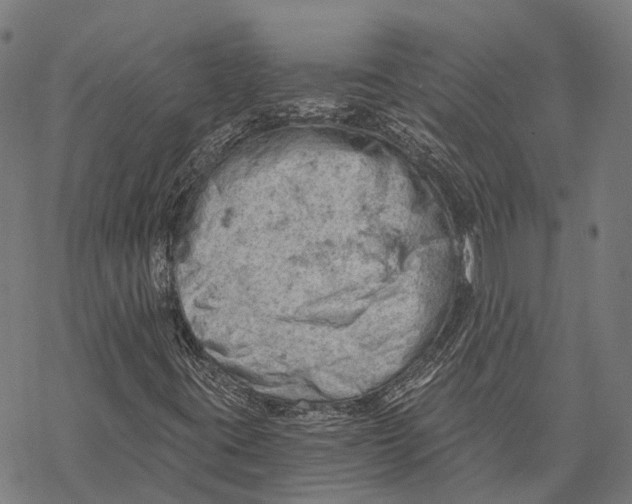 X0000068851395200605261654