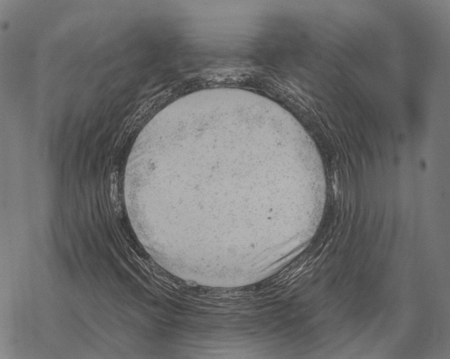 X0000068851396200605261654