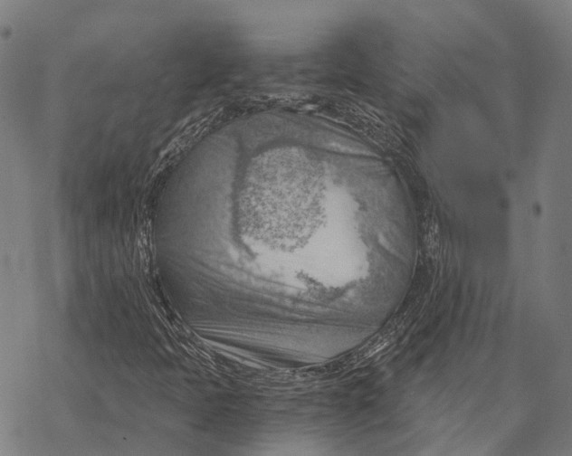 X0000068851397200605261654