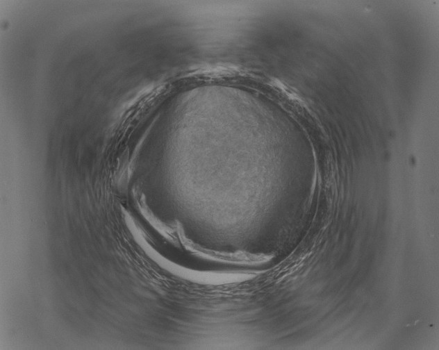 X0000068851398200605261654