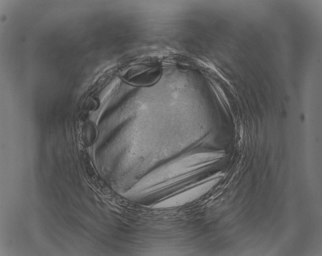 X0000068851399200605261654