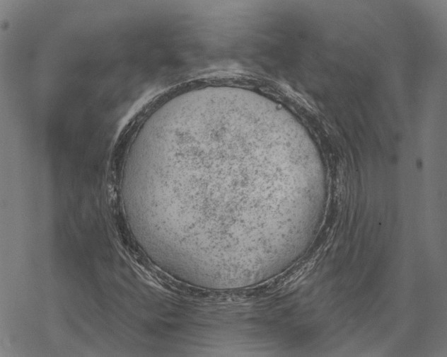 X0000068851400200605261654