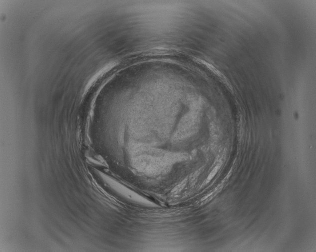 X0000068851402200605261654