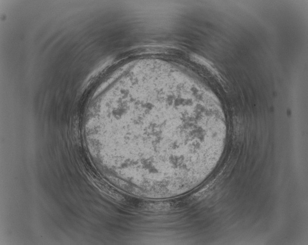 X0000068851403200605261654