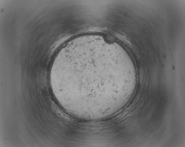 X0000068851404200605261654