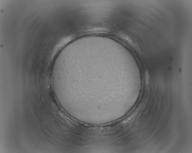 X0000068851405200605261654