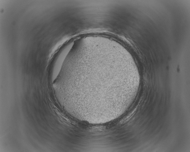 X0000068851406200605261654