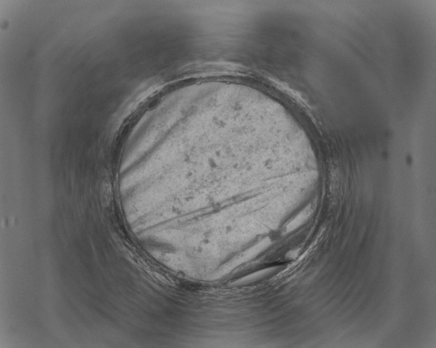 X0000068851407200605261654