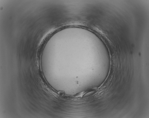 X0000068851408200605261654