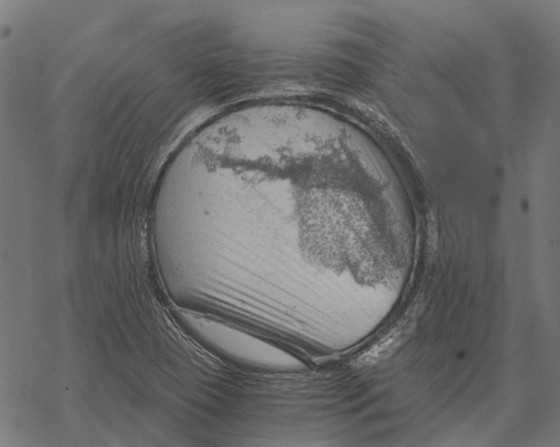 X0000068851409200605261654