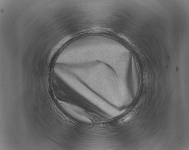 X0000068851410200605261654