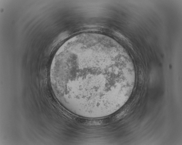 X0000068851411200605261654