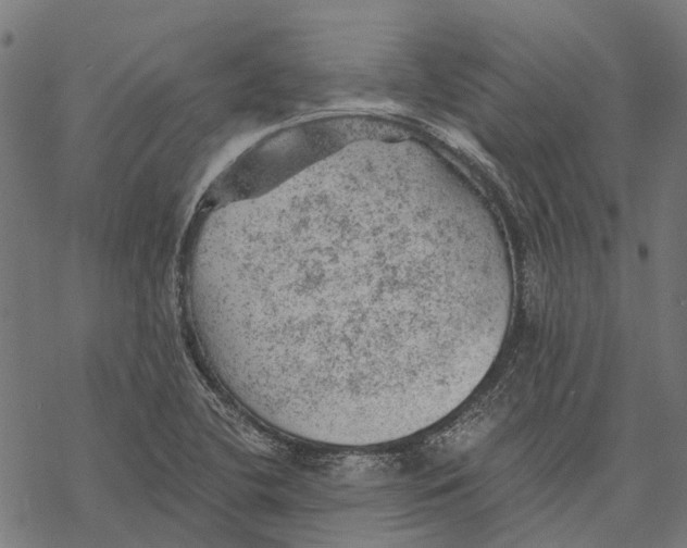 X0000068851412200605261654