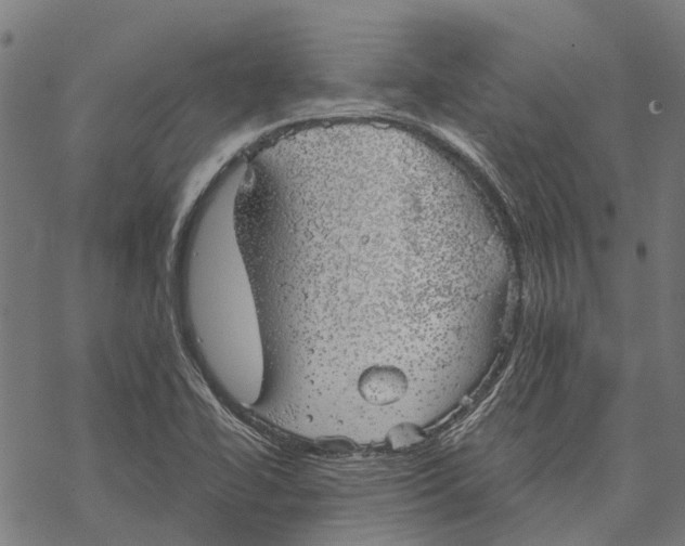 X0000068851414200605261654