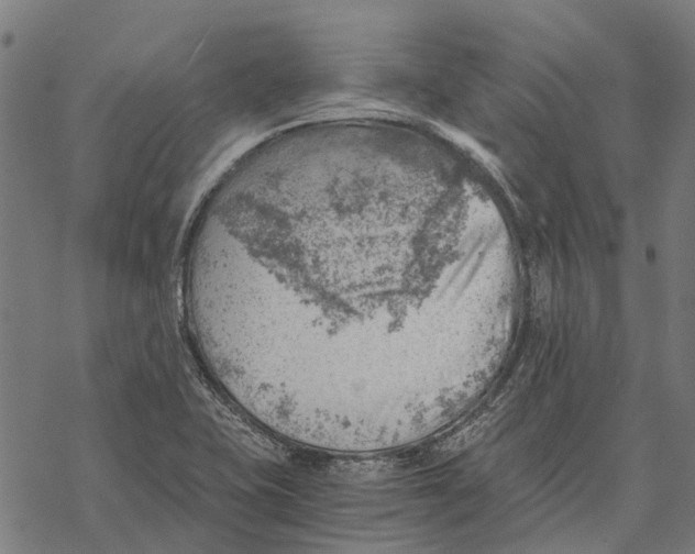 X0000068851415200605261654