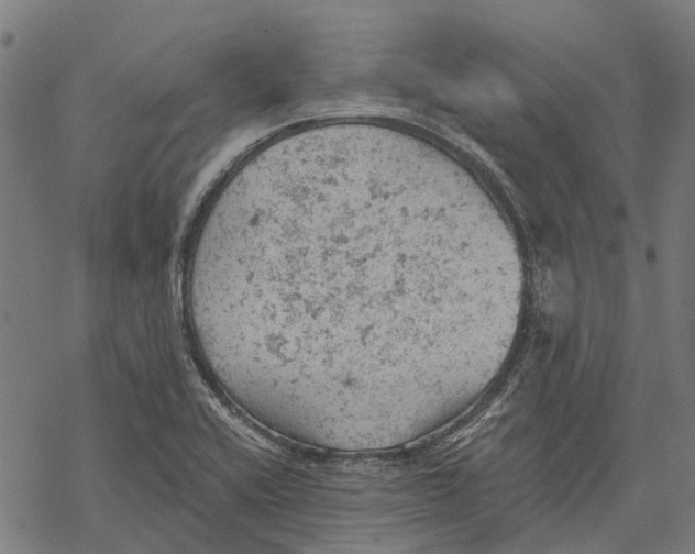 X0000068851416200605261654