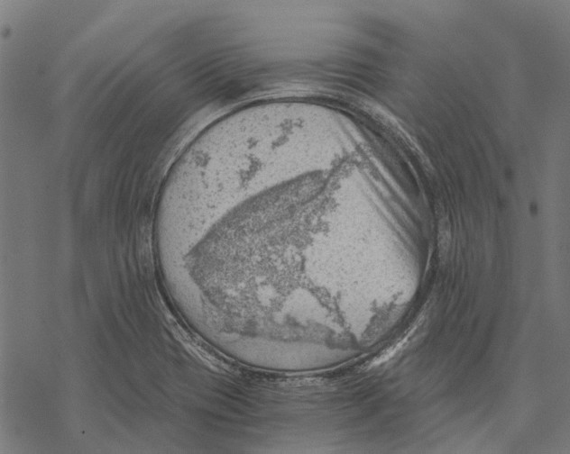 X0000068851417200605261654