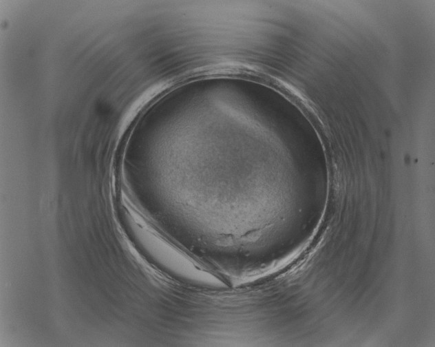 X0000068851418200605261654