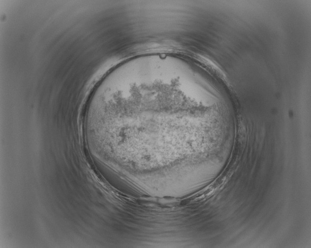 X0000068851419200605261654