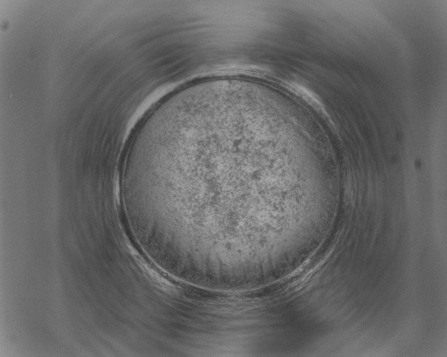 X0000068851420200605261654