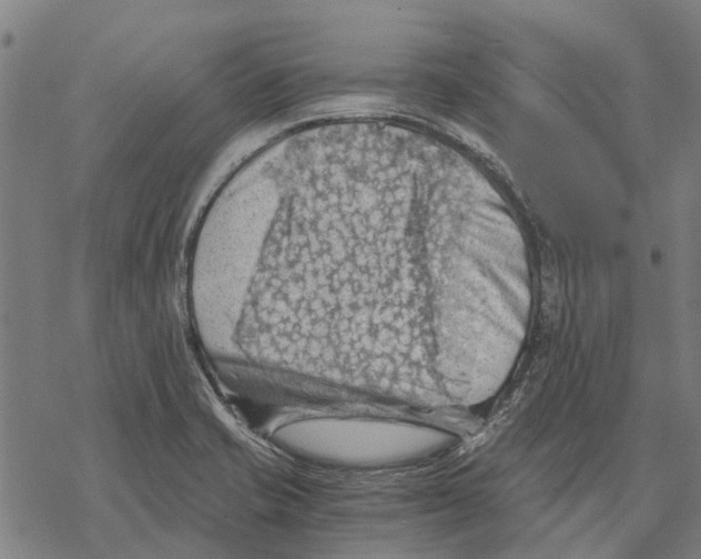 X0000068851421200605261654