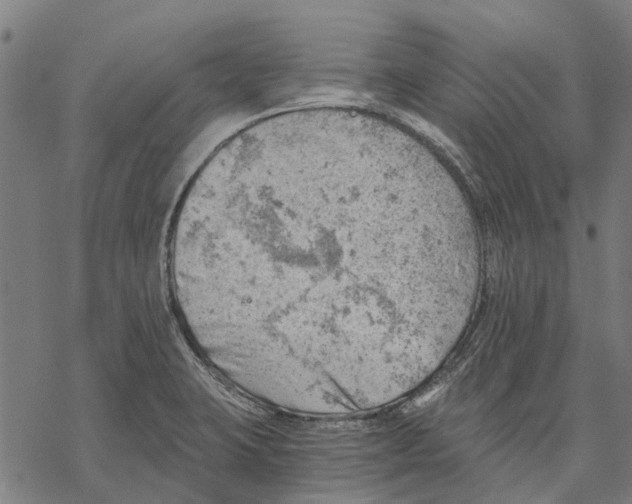 X0000068851423200605261654