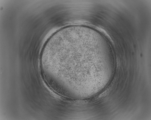 X0000068851424200605261654