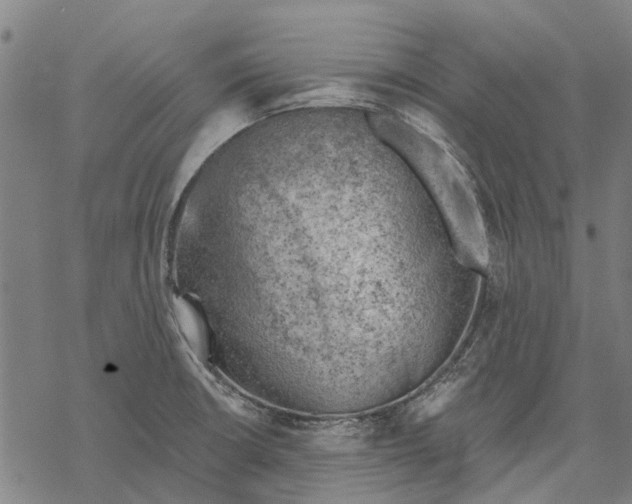 X0000068851426200605261654