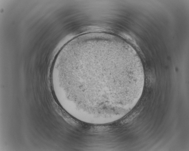 X0000068851427200605261654