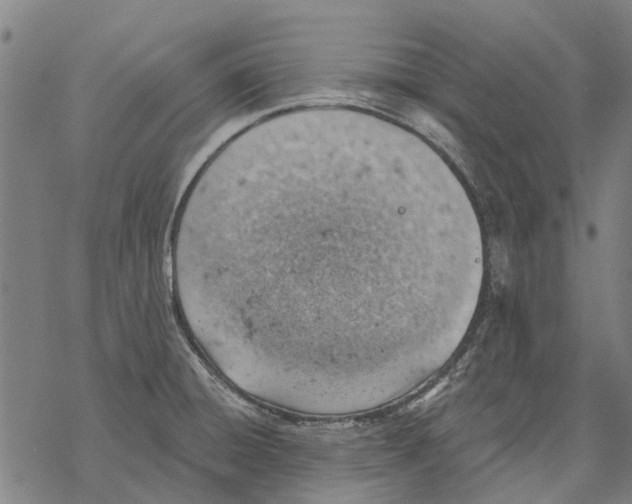 X0000068851428200605261654