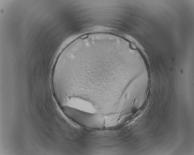 X0000068851429200605261654