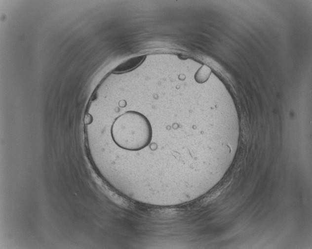 X0000068851431200605261654