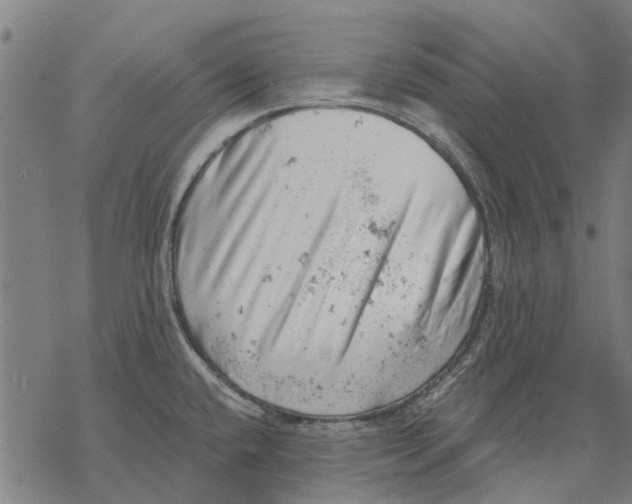 X0000068851432200605261654