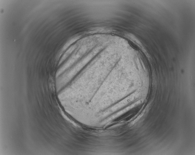 X0000068851433200605261654