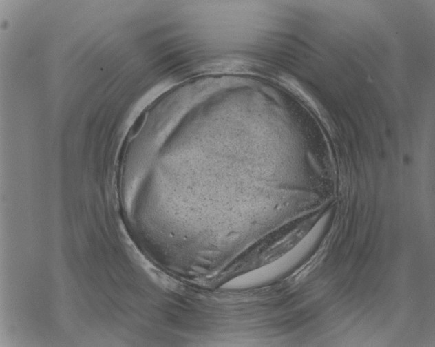 X0000068851434200605261654