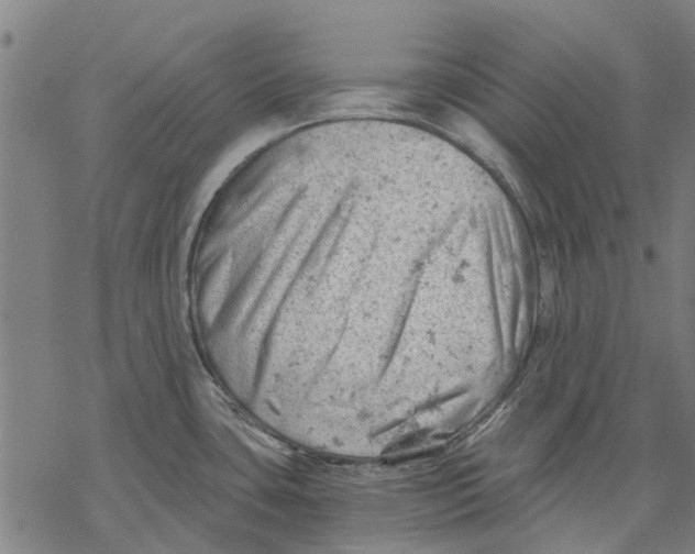 X0000068851435200605261654