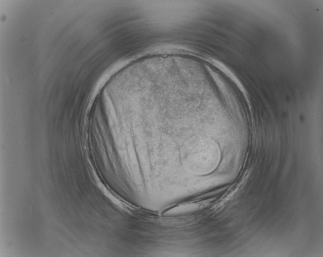 X0000068851437200605261654