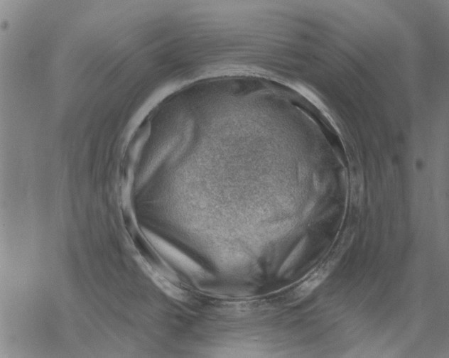 X0000068851438200605261654