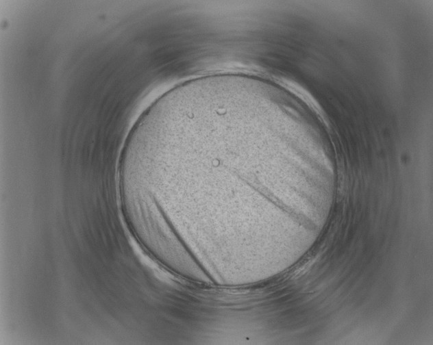 X0000068851439200605261654