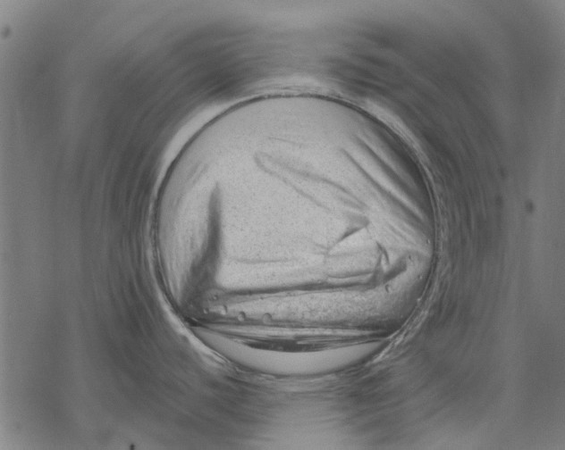 X0000068851440200605261654