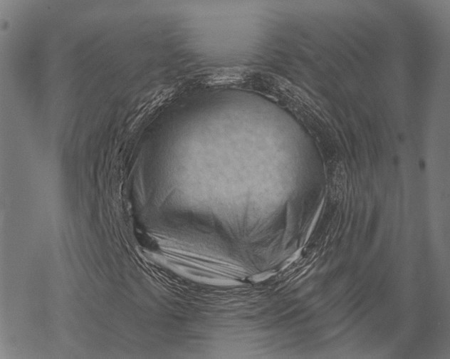 X0000068851441200605261654