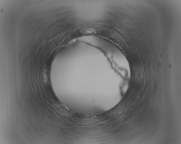 X0000068851442200605261654