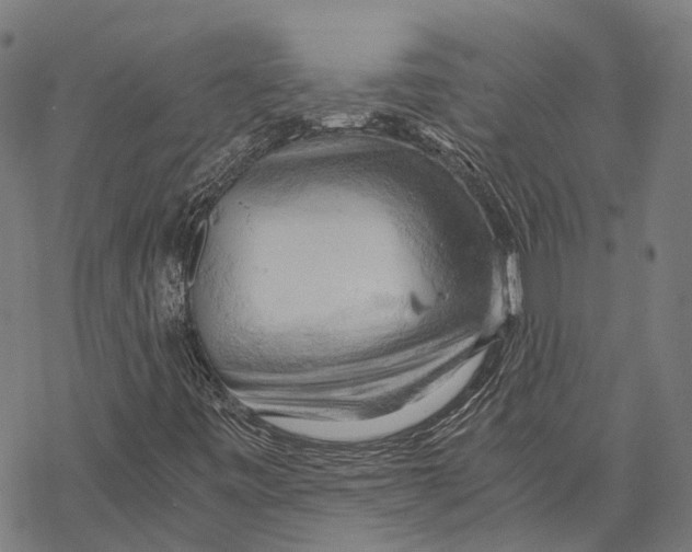 X0000068851443200605261654